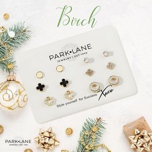 Park Lane Birch Set of 6 studs